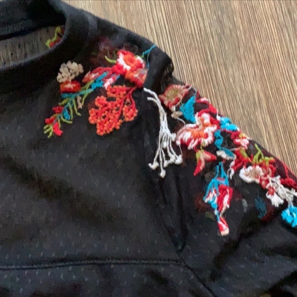Anthro | Sheer Ruffle Layer Embroidered Blouse